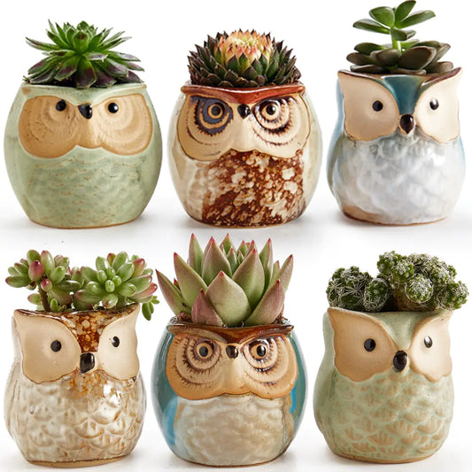 6 Piece Owl Pot Ceramic Planter Set